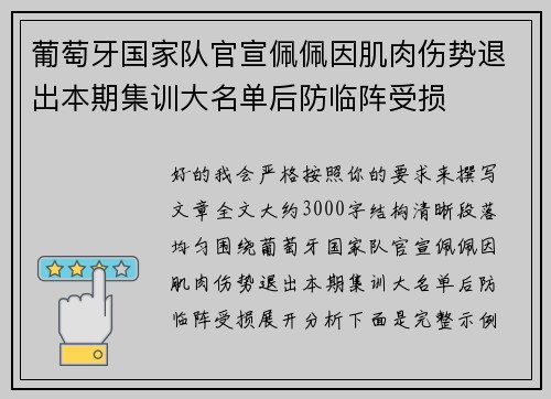 葡萄牙国家队官宣佩佩因肌肉伤势退出本期集训大名单后防临阵受损